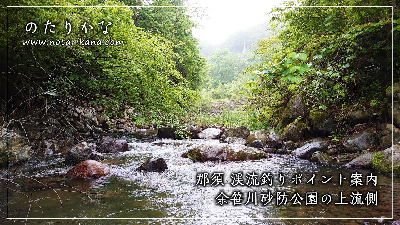 【那須の渓流釣りポイント案内】余笹川砂防公園の砂防ダムの上流　2021年7月某日 【渓流ベイトフィネス】