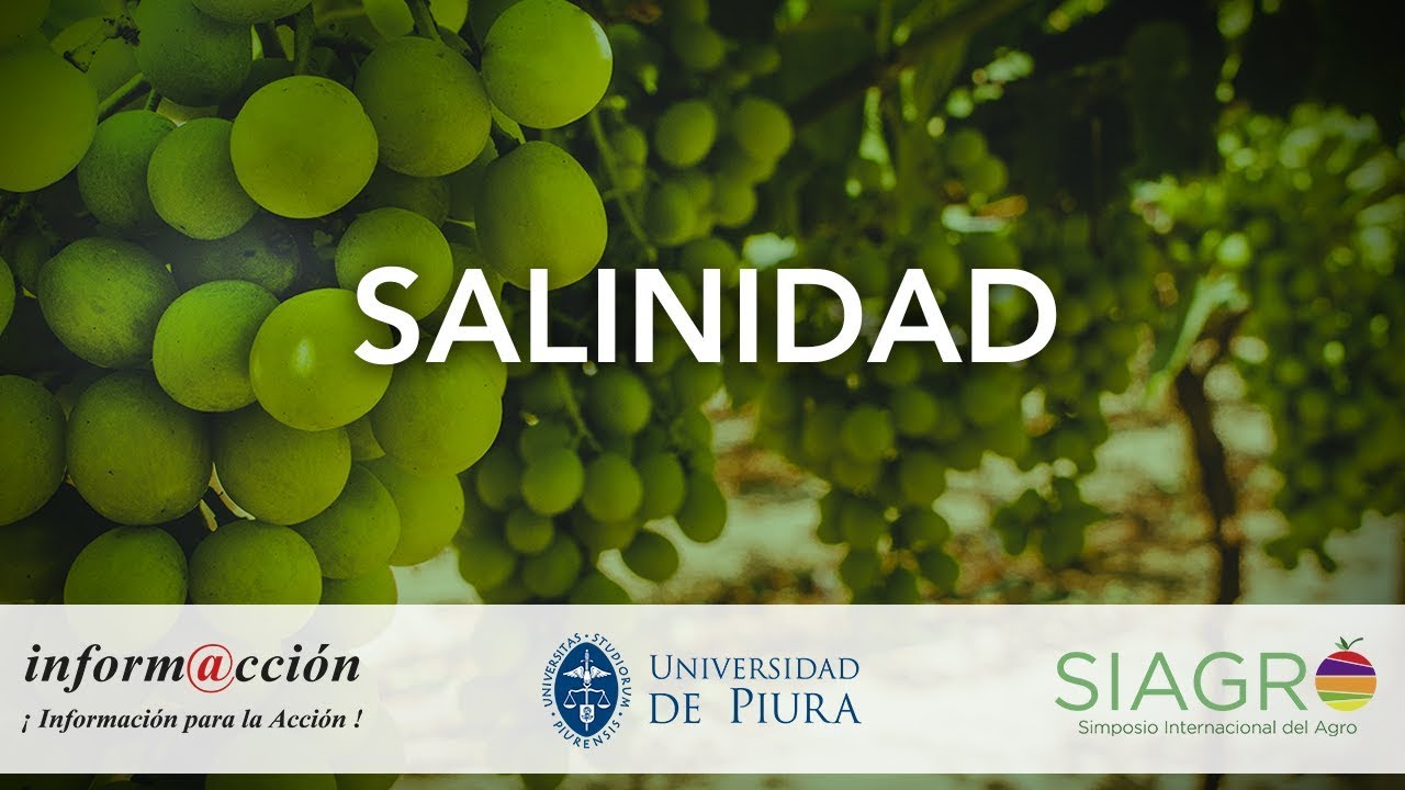 3.4 Salinidad I