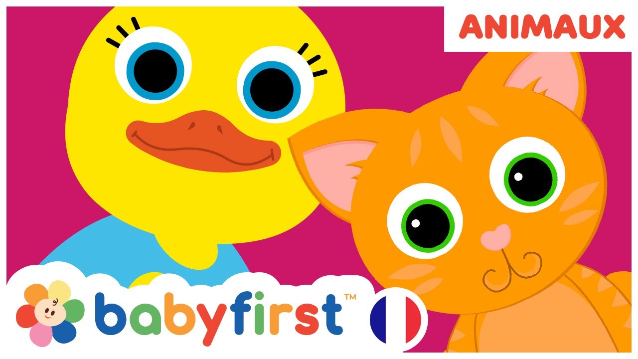 Apprendre les noms des animaux avec Tillie la cane | DAPHINE LE CANARD | HARRY LE CHEVAL | BabyFirst