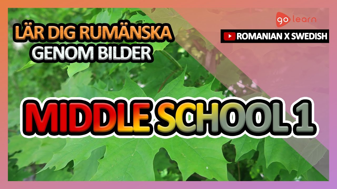 L&auml;r Dig Rum&auml;nska Genom Bilder |Rum&auml;nska Ordf&ouml;rr&aring;d Middle School 1 | Golearn