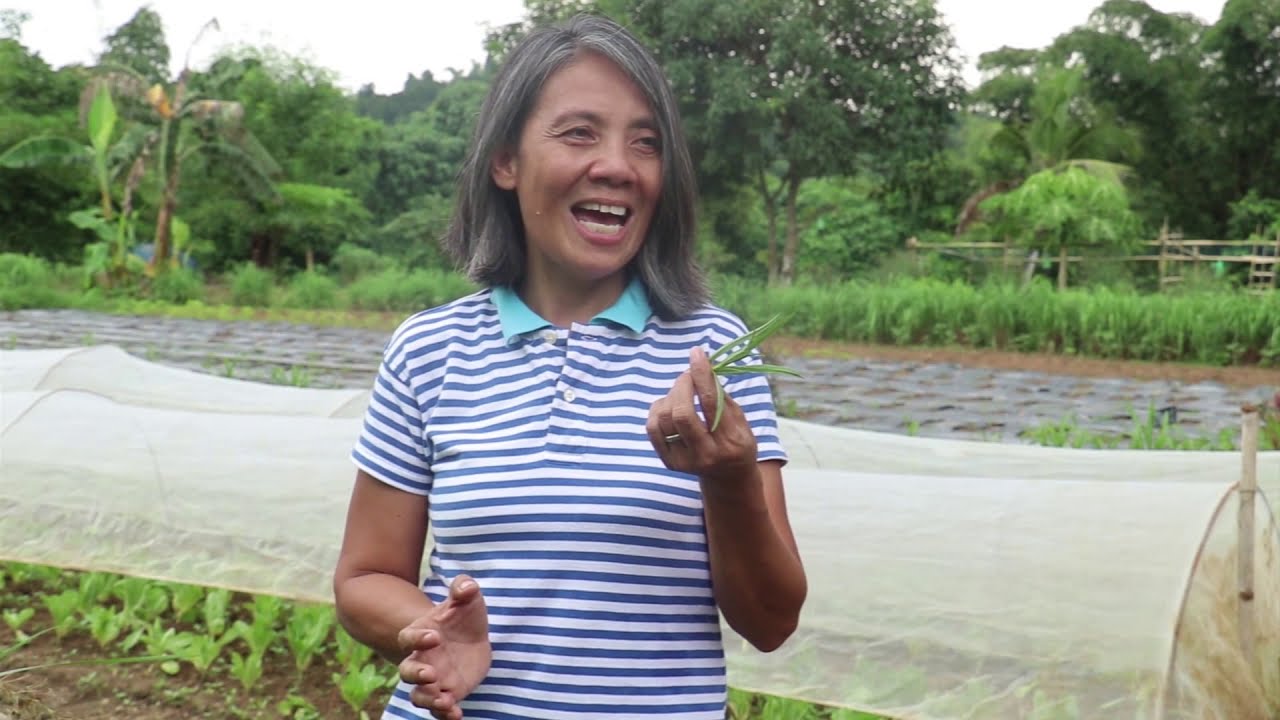 MANa: Kaya ni Juana ang Pagsasaka | Episode 3 Season 2