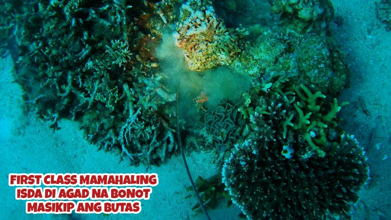 EP 487 FIRST CLASS MAMAHALING ISDA DI AGAD NA BONOT MASIKIP ANG BUTAS