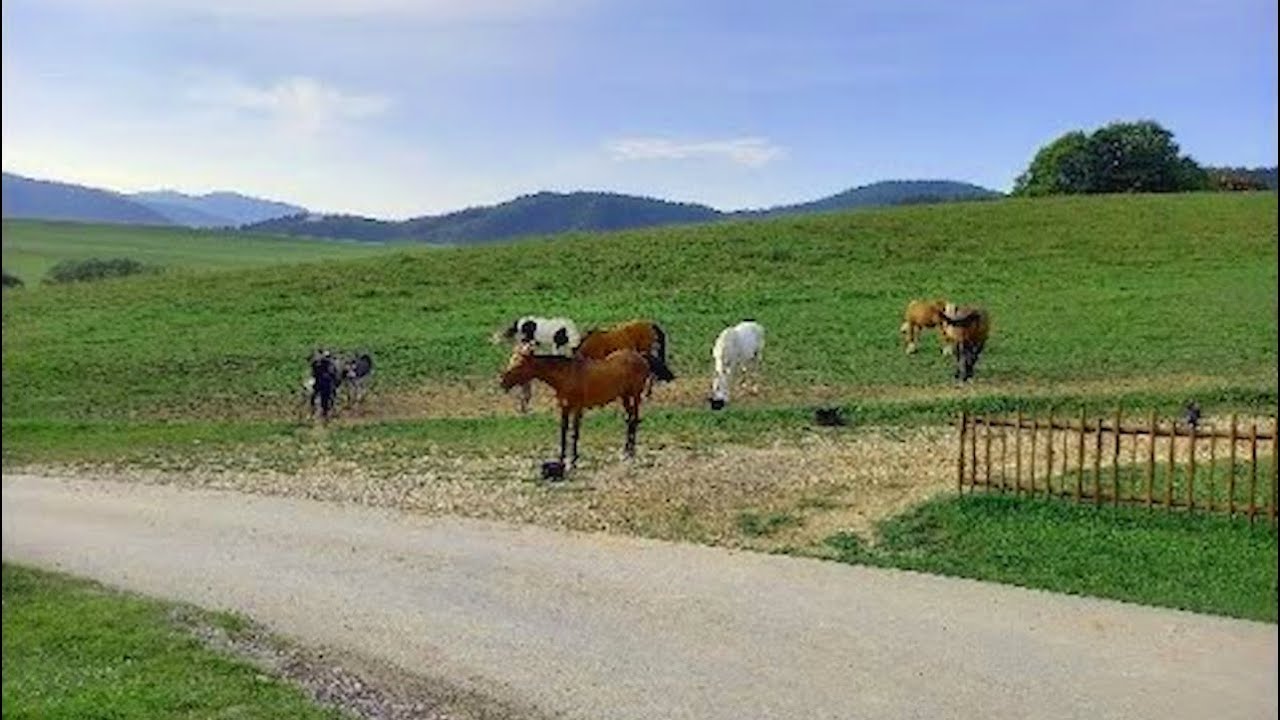 (2023-08-28) From Hotel Podjavorník to Koliba Papradno and back
