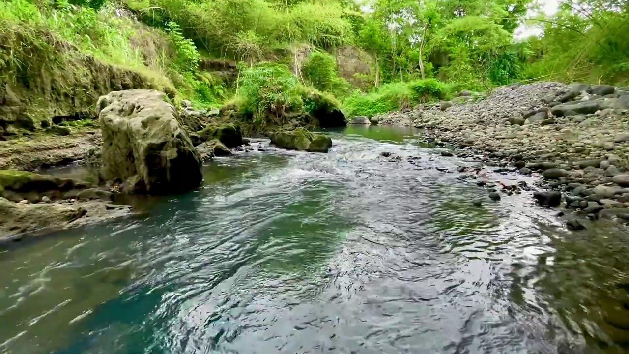 Soothing River Flow Therapy to Relieve Stress, Anxiety and Improve Sleep