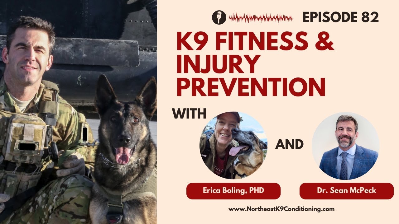 Canine Fitness & Injury Prevention: Interview with Dr. Sean McPeck