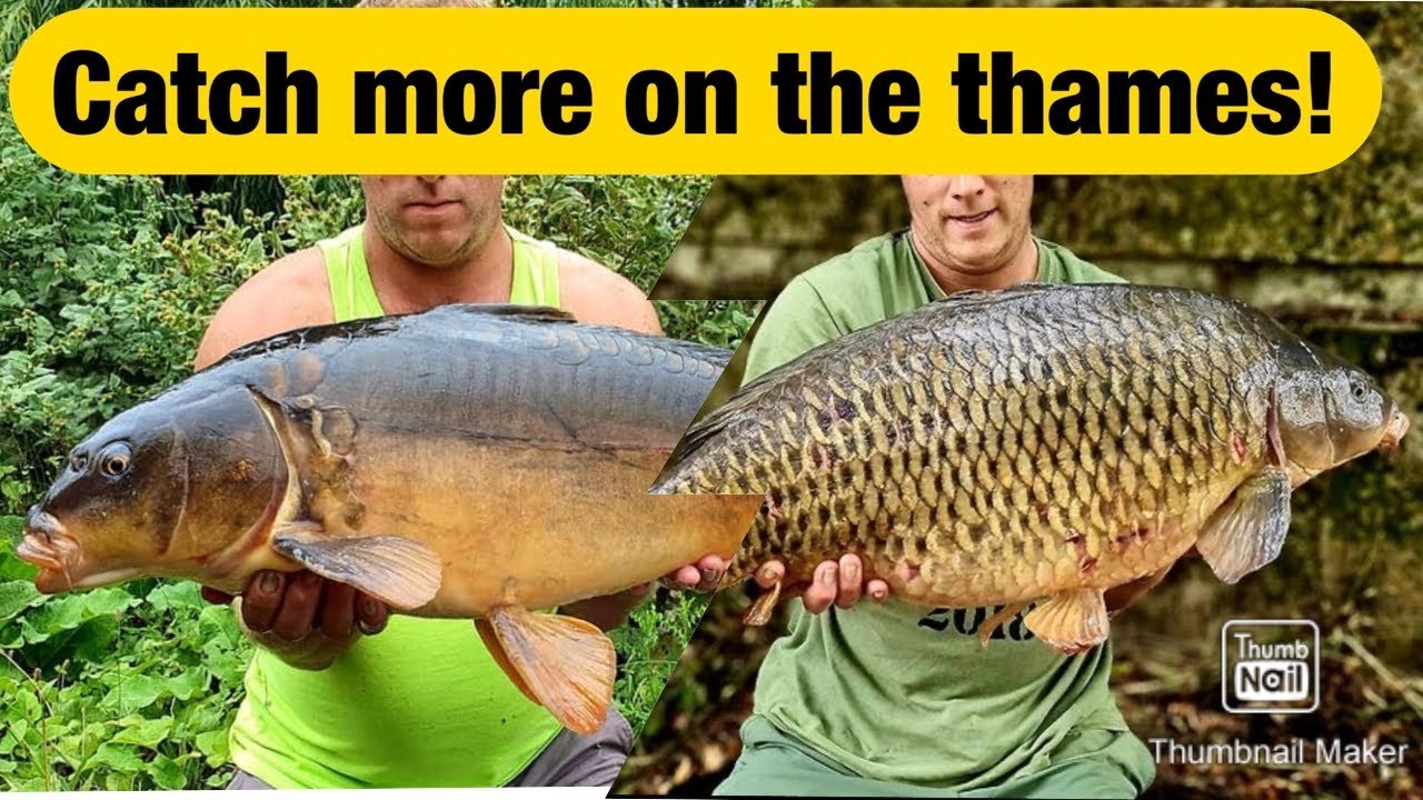 TOP 5 RIVER TIPS WITH THE THAMES WARRIOR 🎣 🐠