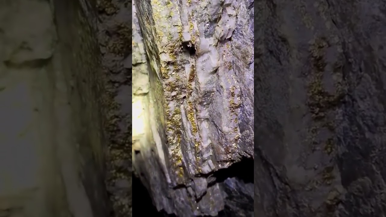 crazy quartz vein full of gold #shortsvideo #shorts