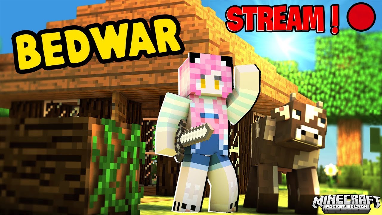 MỀU STREAM BEDWAR C&Ugrave;NG REDHOOD V&Agrave; CHỊ PANDA TRONG MINECRAFT TẬP 1*Mều Stream Minecraft
