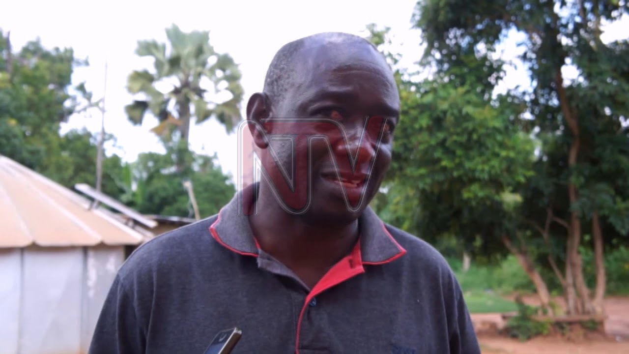 60% of wetlands damaged in Gulu District