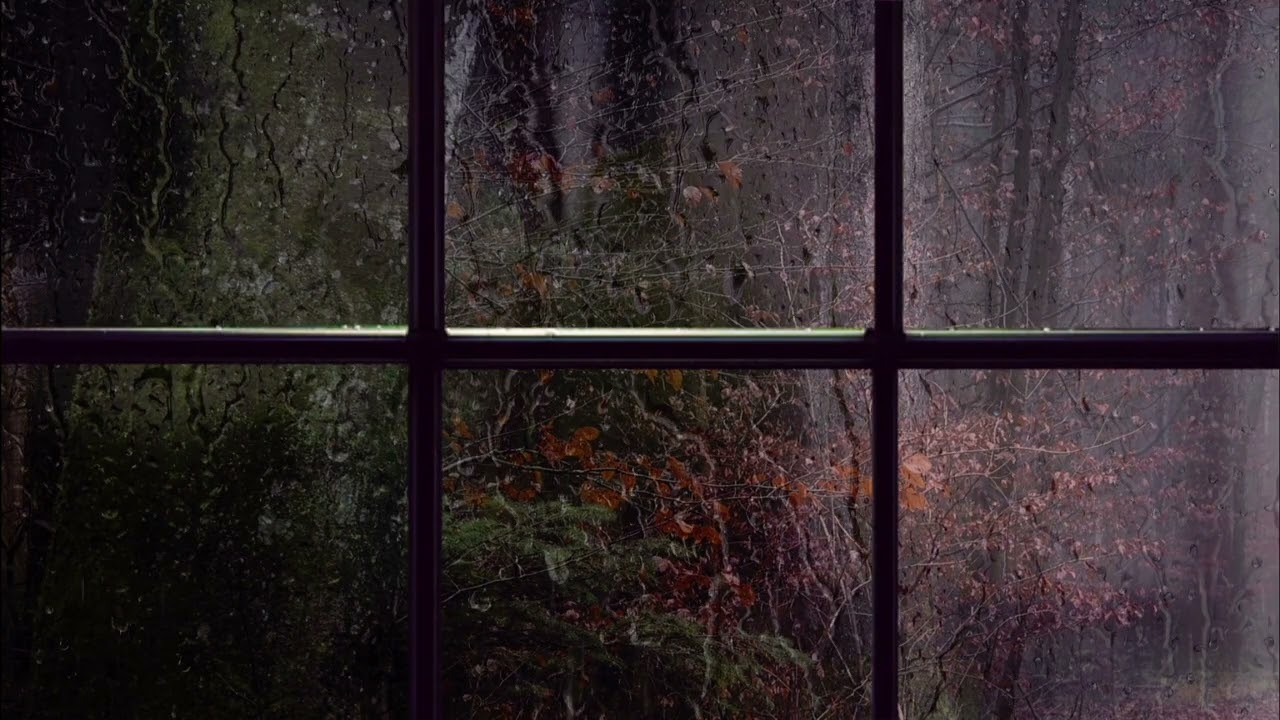 Can You Spot the Secret in This Window?