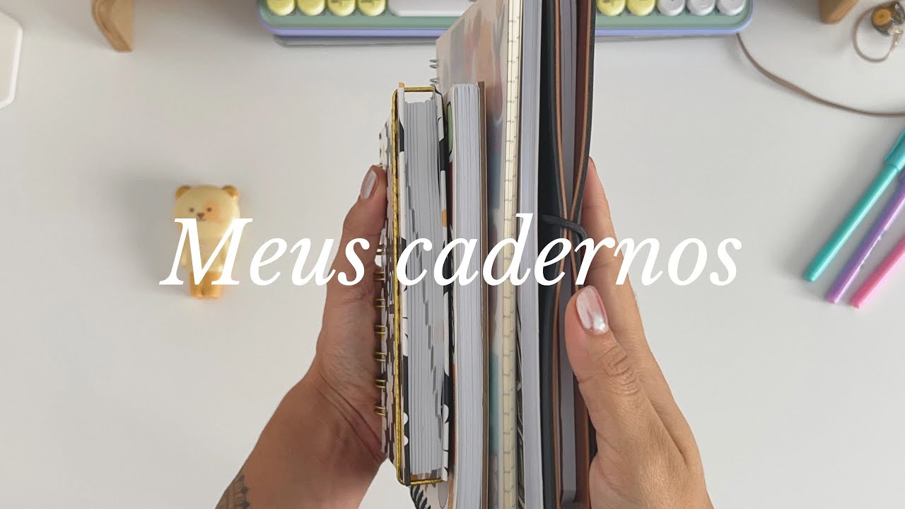 Meus cadernos: organização, criatividade, journal