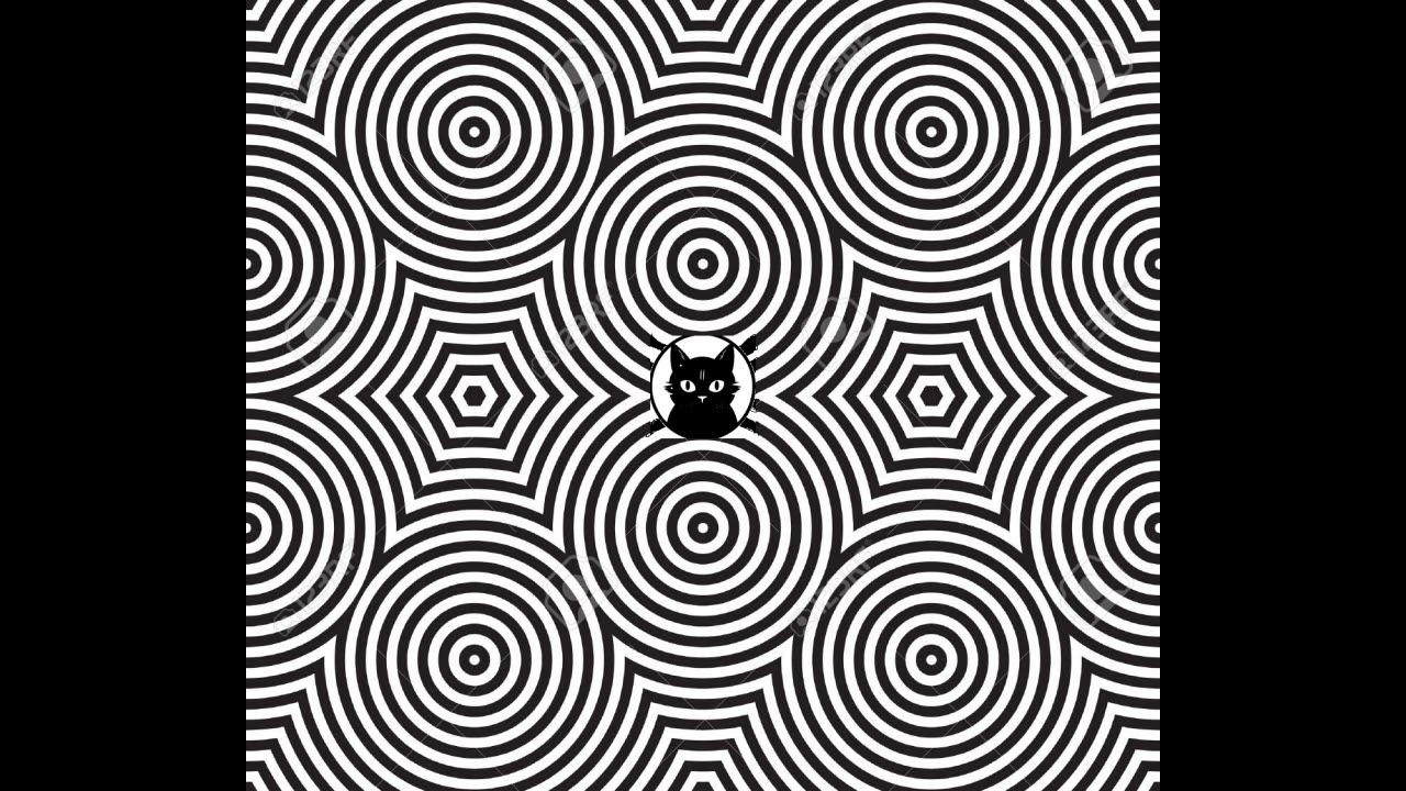 chat perché