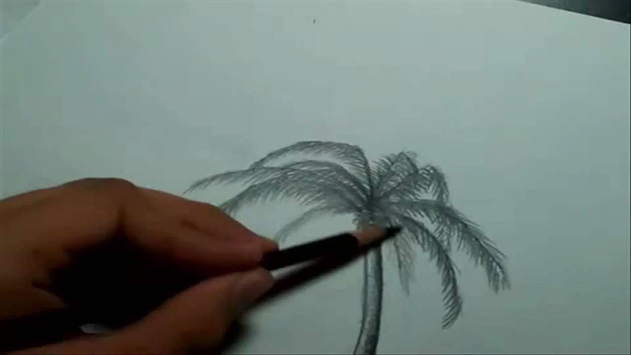 Beach Landscape - How To Draw A Palm Tree