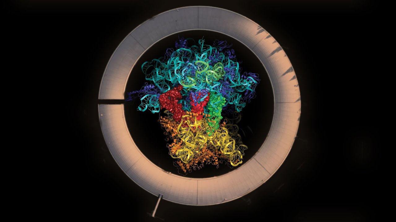 Ribosome under synchrotron light (Nobel Laureate Venki Ramakrishnan) (2019)