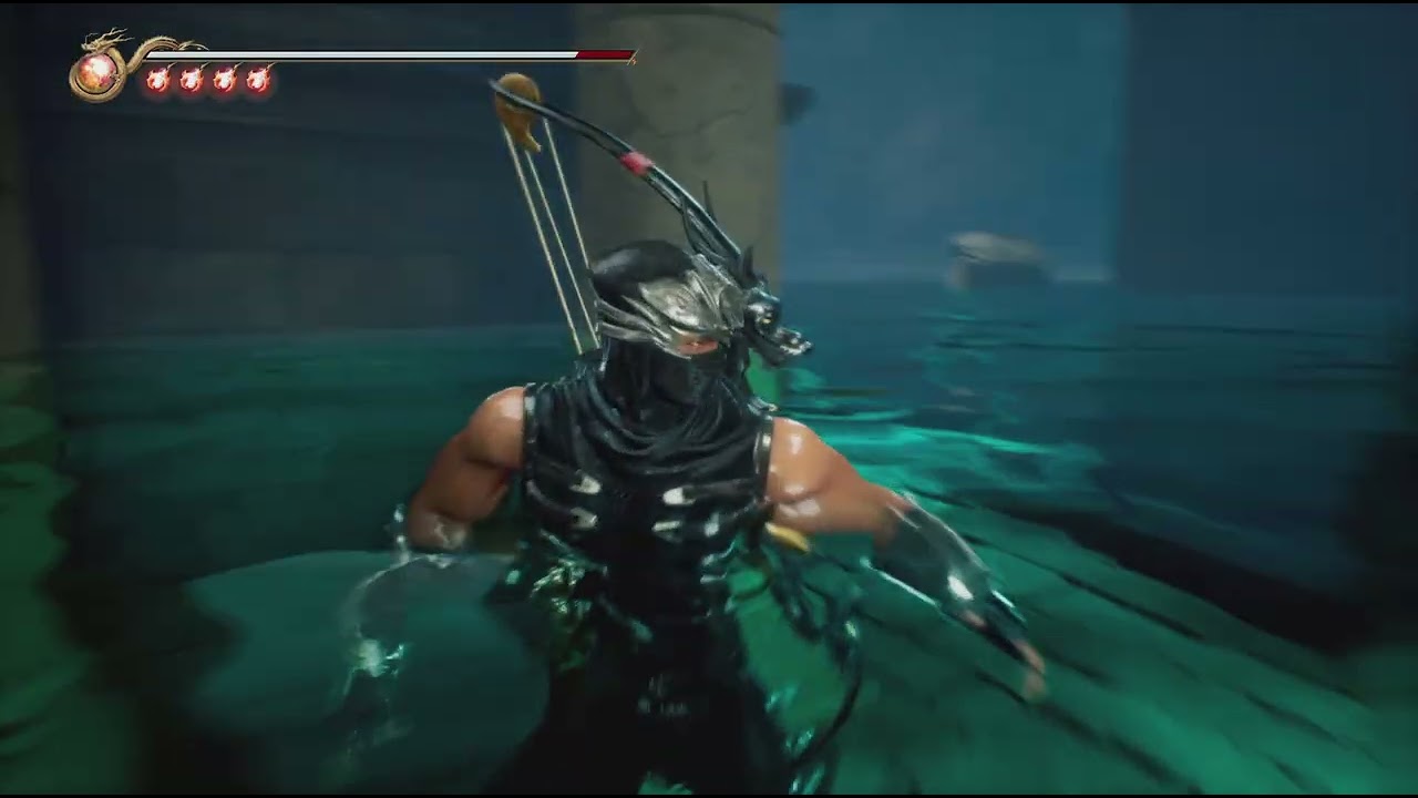 NINJA GAIDEN 2 Black_