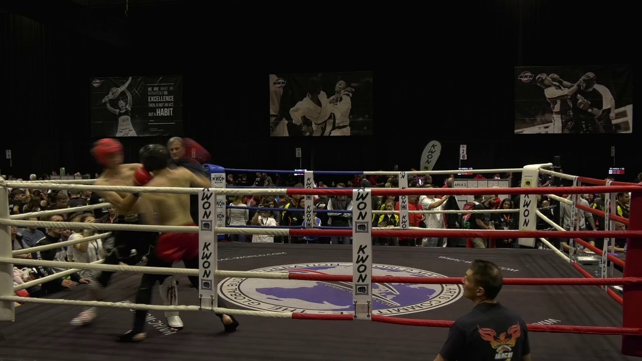 WKUWorld WM 2019 - K1MC  -65kg - Schrock Leon Vs Pani Elia