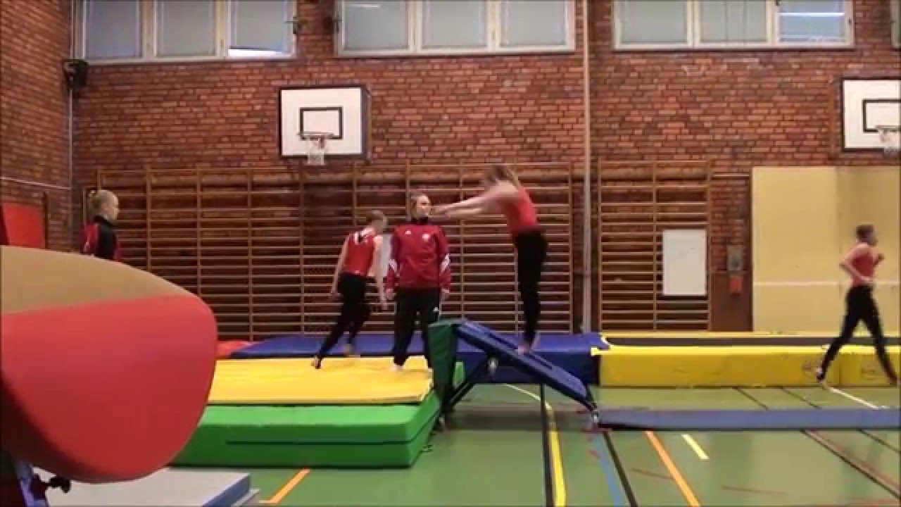 2015-11-29 Bjurrecupen - hopp RT3 (Lag Vit)