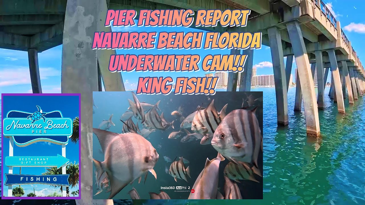 Navarre Pier Florida Fishing Report, underwater camera, king, Spanish mackerel, huge shark on beach
