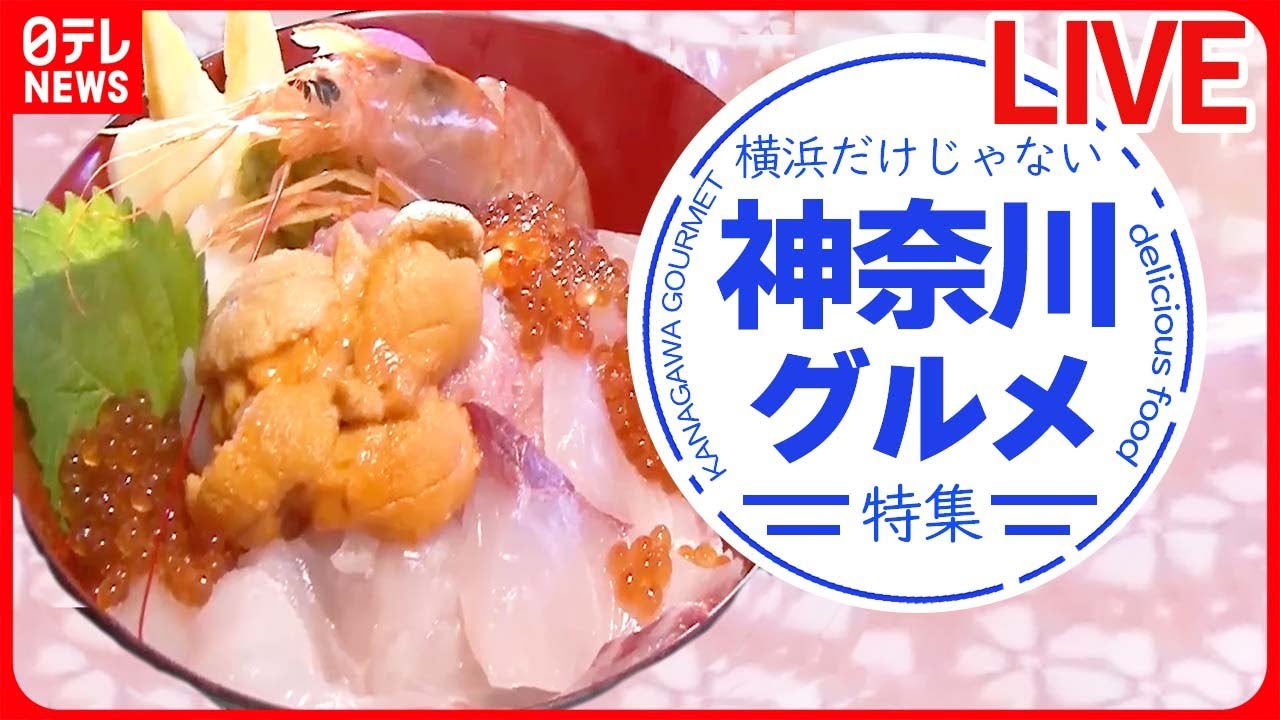 【ご当地ライブ】『神奈川グルメまとめ』横浜で人気の肉盛りスタミナカレー / 堪能！三崎マグロ3点盛り / 愛されて41年！日吉の洋食店　など（日テレNEWS LIVE）