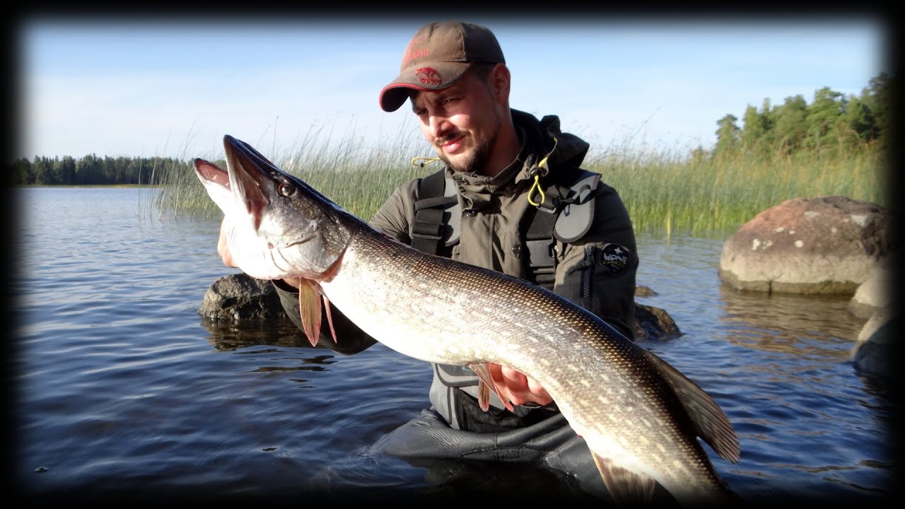 ЛОВЛЯ ЩУКИ В ФИНЛЯНДИИ ♦ HAUGIPÜÜK SOOMES ♦ PIKE FISHING IN FINLAND