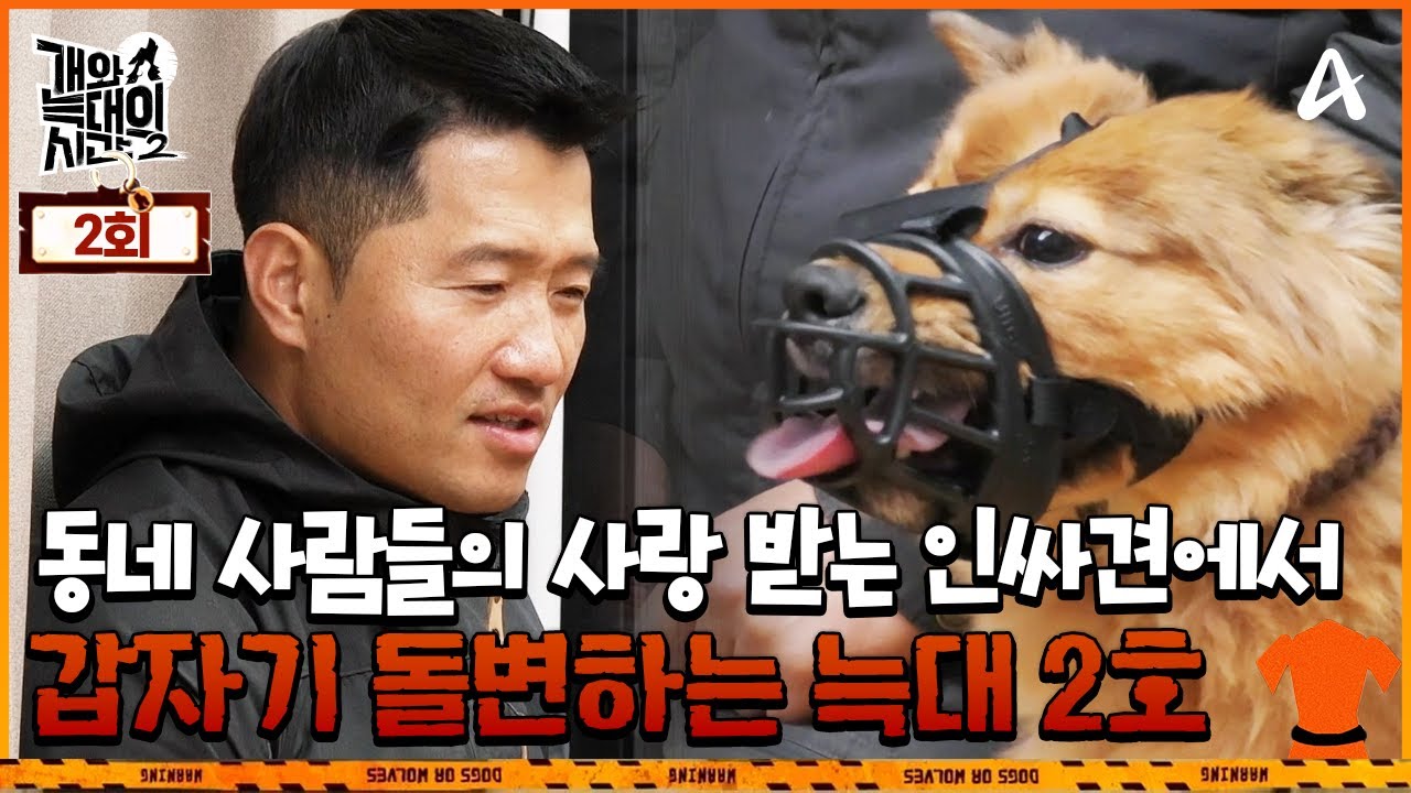 [예능] 개와 늑대의 시간 시즌2 2회_250114_들개의 후예들: 개는 보호자의 건강함을 안다