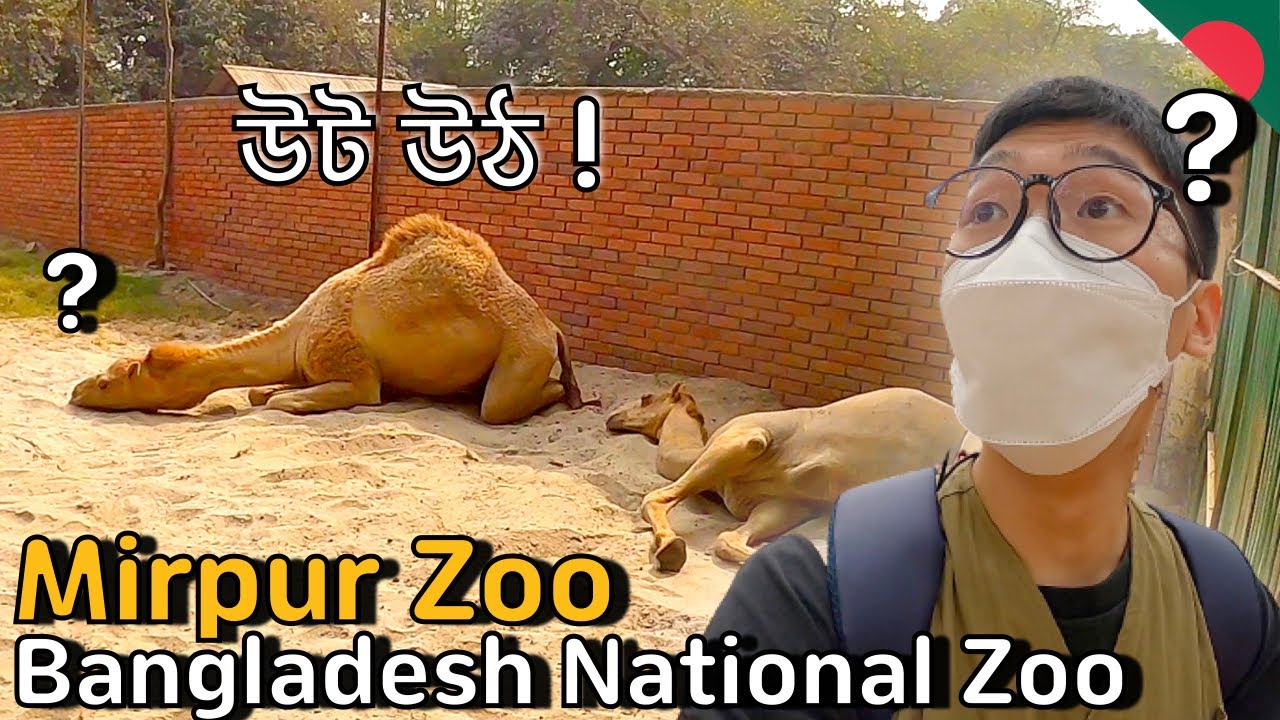 Visiting Bangladesh National Zoo | Mirpur Zoo