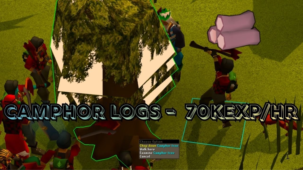 ZerkIron - 1 Hour of Camphor Logs (70k EXP/HR)