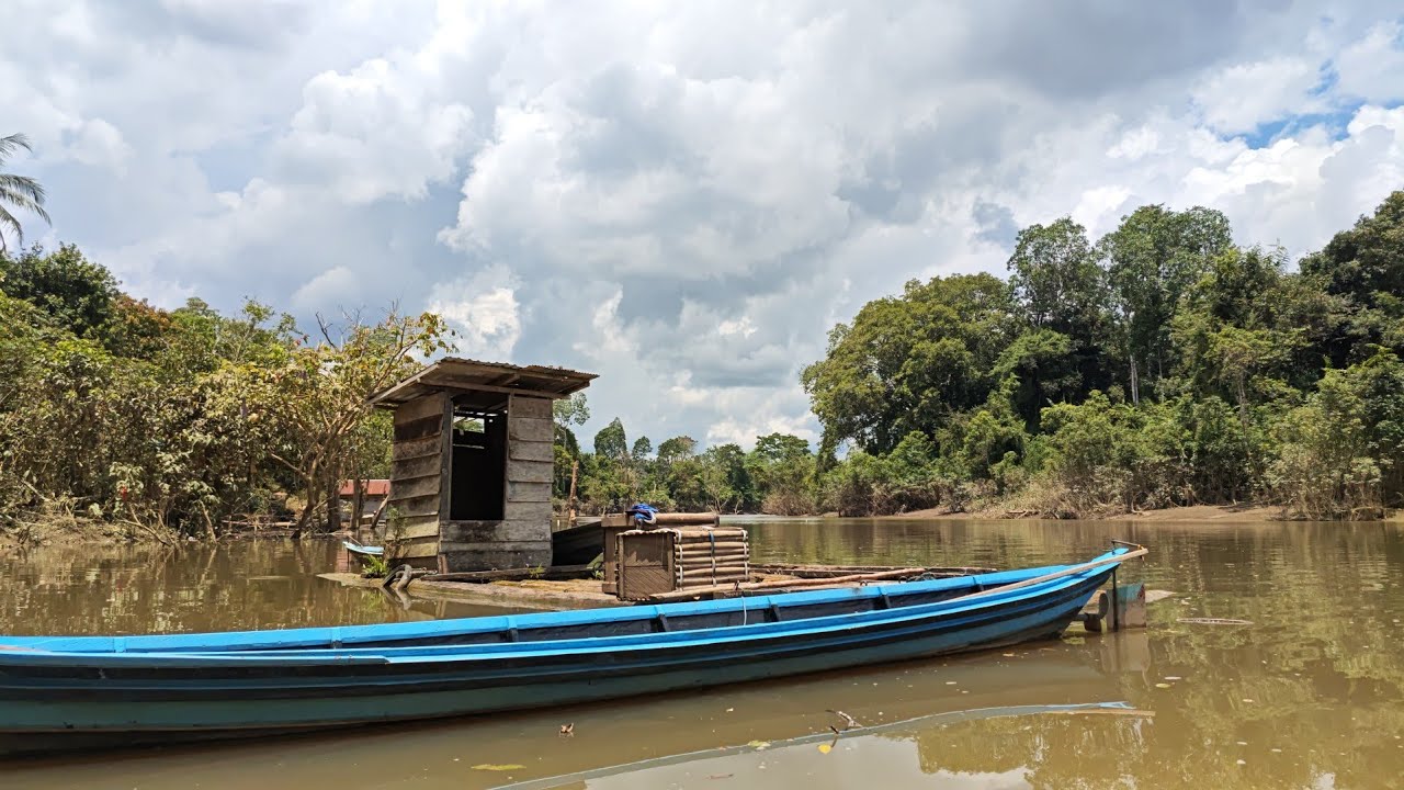 Perjalanan Ke Kampung Dayak Yang Kaya Ikan,Hutan & Alam. Sungai Pendreh Kalimantan Tengah. 