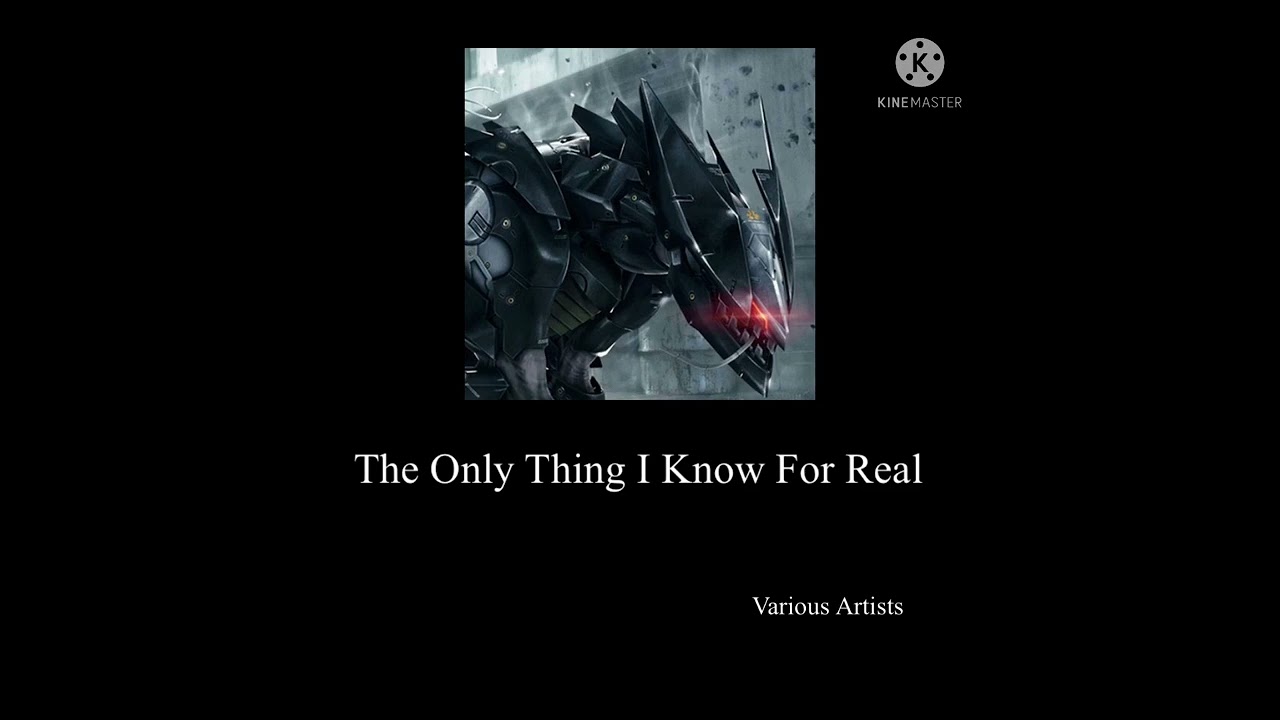 The Only Thing I Know For Real {Slowed & Reverb} | Metal Gear Rising