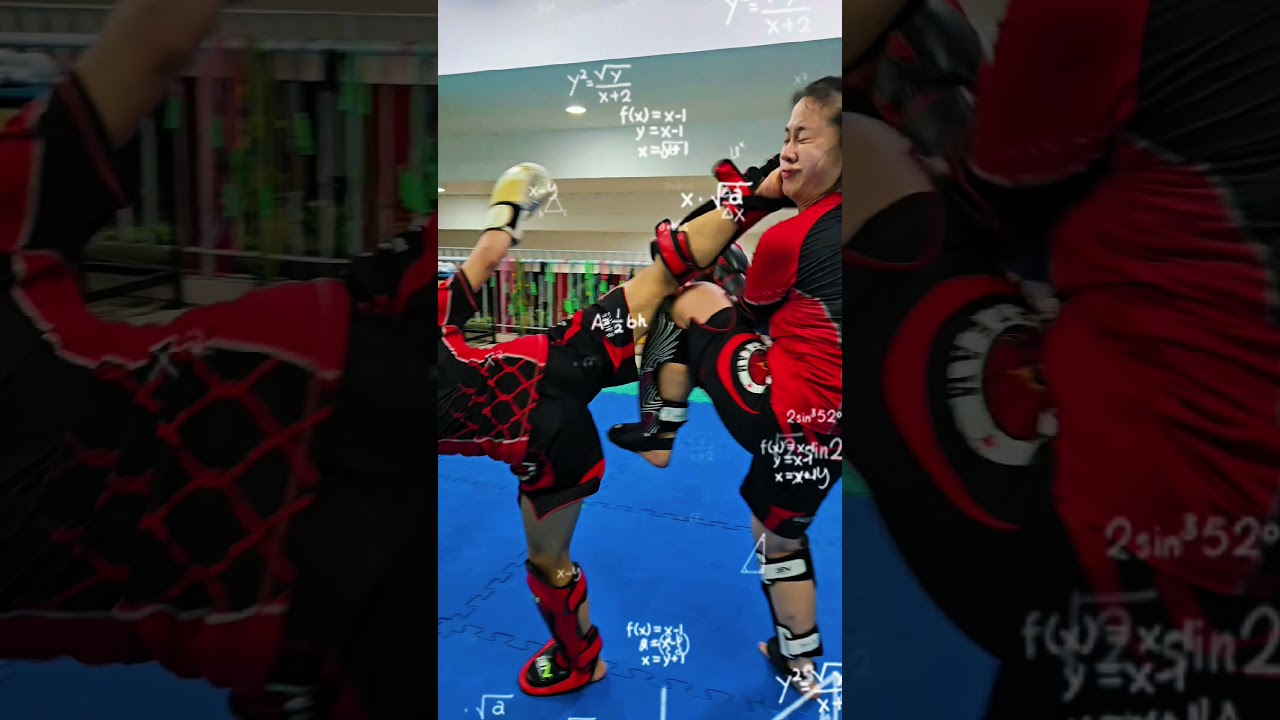 Skill Spinning Hook Kick 