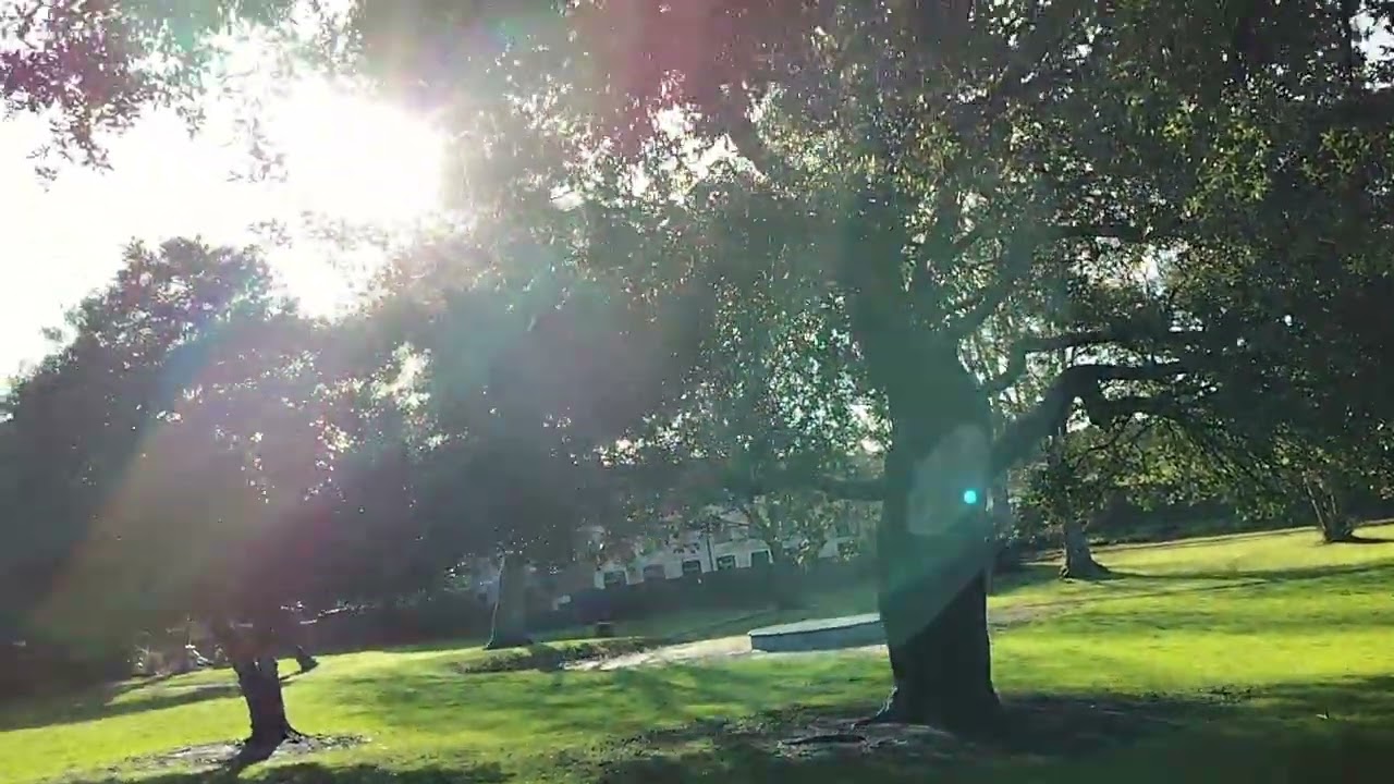 15.02 At the Dam’s End, Willows Whisper