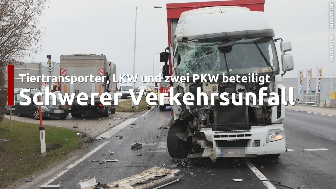 Schweine umgeladen: Schwerer Crash mit vier beteiligten Fahrzeugen auf Pyhrnpass Straße in Steinhaus
