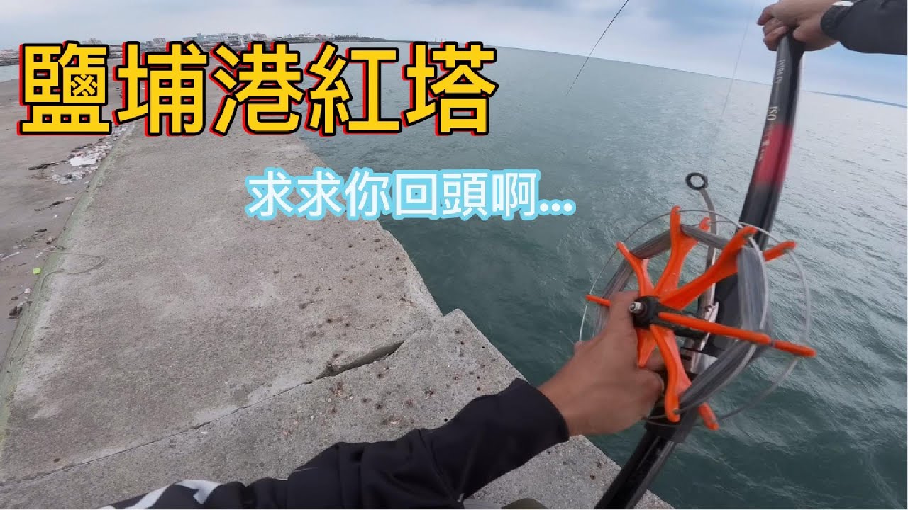 東港鹽埔紅塔 活魚放流力戰不明巨物 慘遭狠狠教訓...