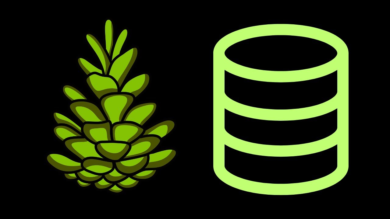 Pinecone | A Vector Database