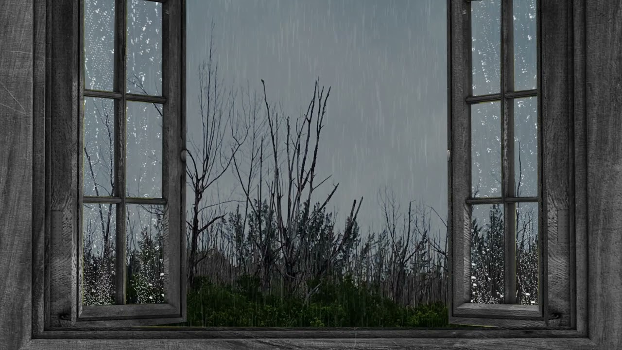 Relaxing Rain Sounds - 45 Minute Rain Sounds for Sleep - Relaxing Meditation Sounds - ASMR