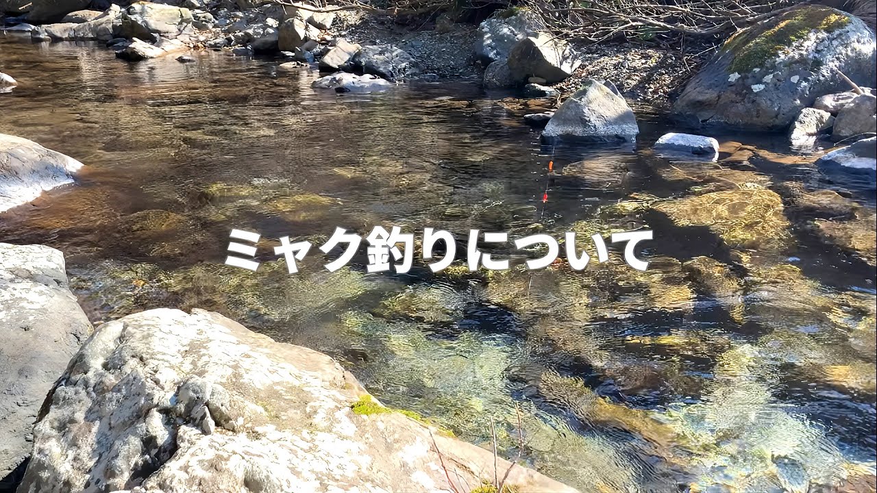 【冬の小物釣り】ウキ釣りとミャク釣り、どちらに分があるのか検証