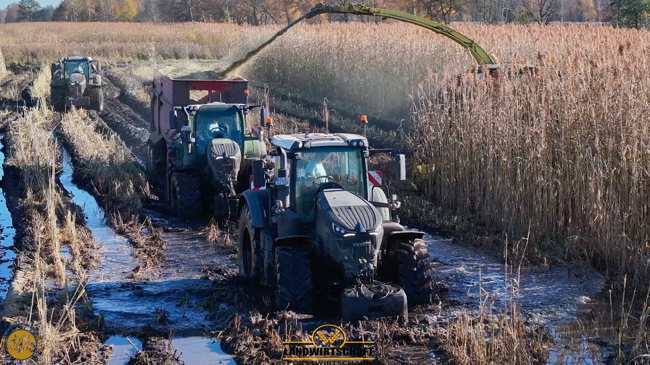 Hoffentlich kriegen wir den Rest mit Mulde runter Hirse Häckseln im Schlamm Schlammschlacht JD 9800i