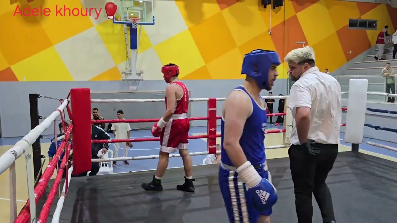 🥊daniel sadikov VS.Nemer nasar🥊