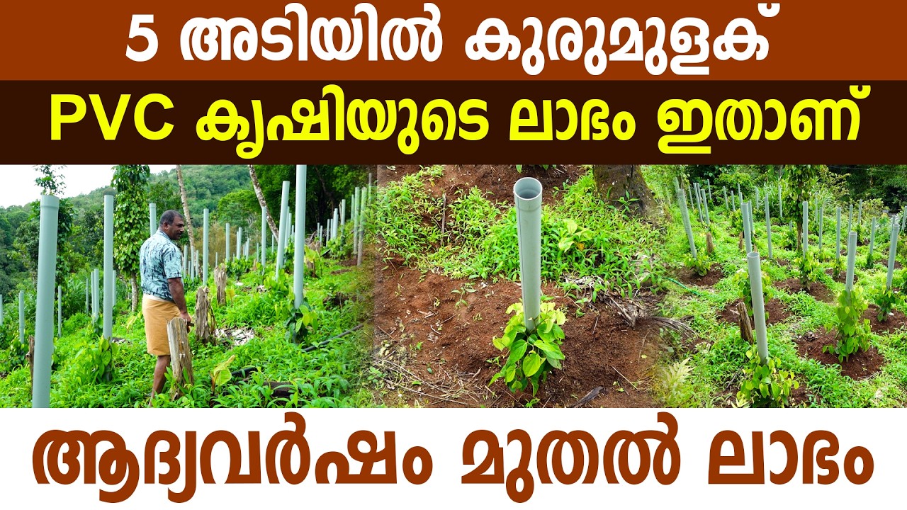 ട്രാഫിക് SI യുടെ കുപ്പായം അഴിച്ചുവച്ച് രാധാകൃഷ്ണൻ സാർ കർഷകനായപ്പോൾ