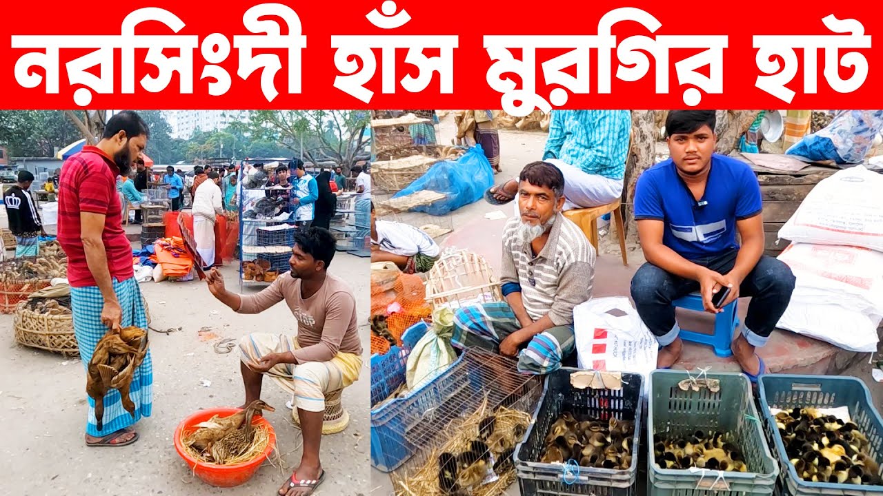 নরসিংদী হাঁস মুরগির হাট | Village Market | Village Market in Bangladesh | Madhabdi hat | Live Villag