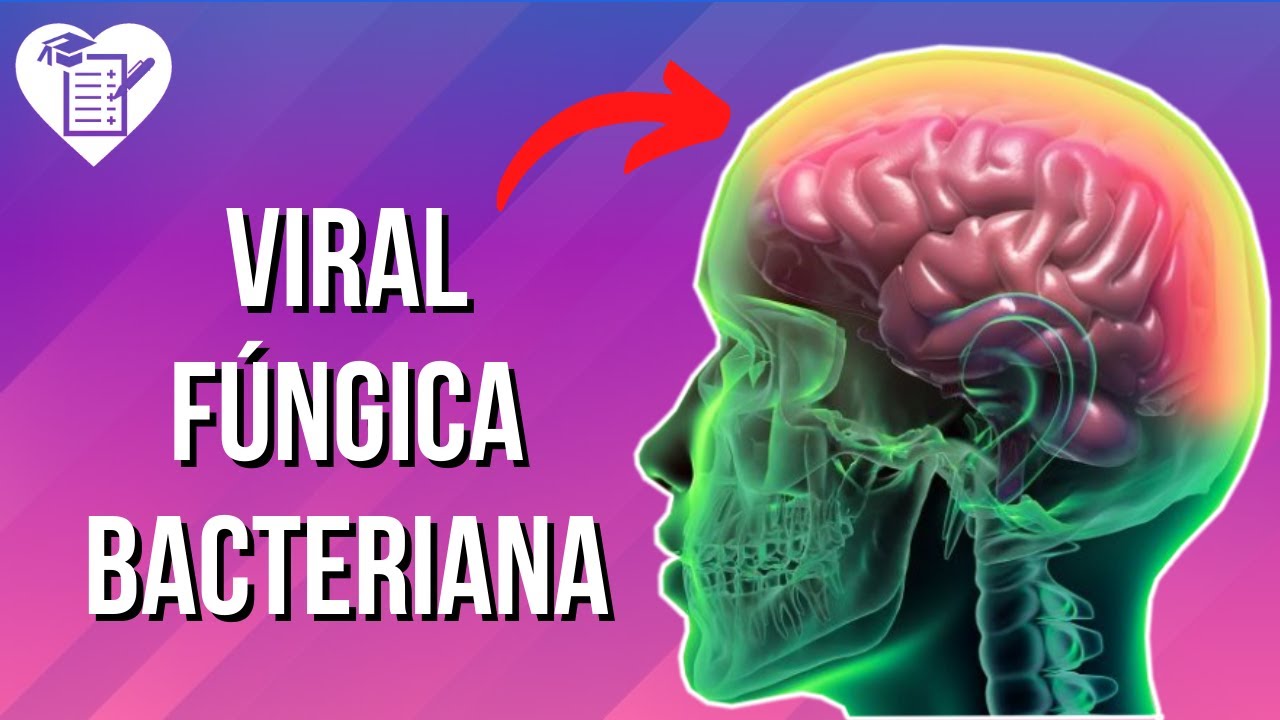 MENINGITE - Sintomas, Transmissão e Tratamento