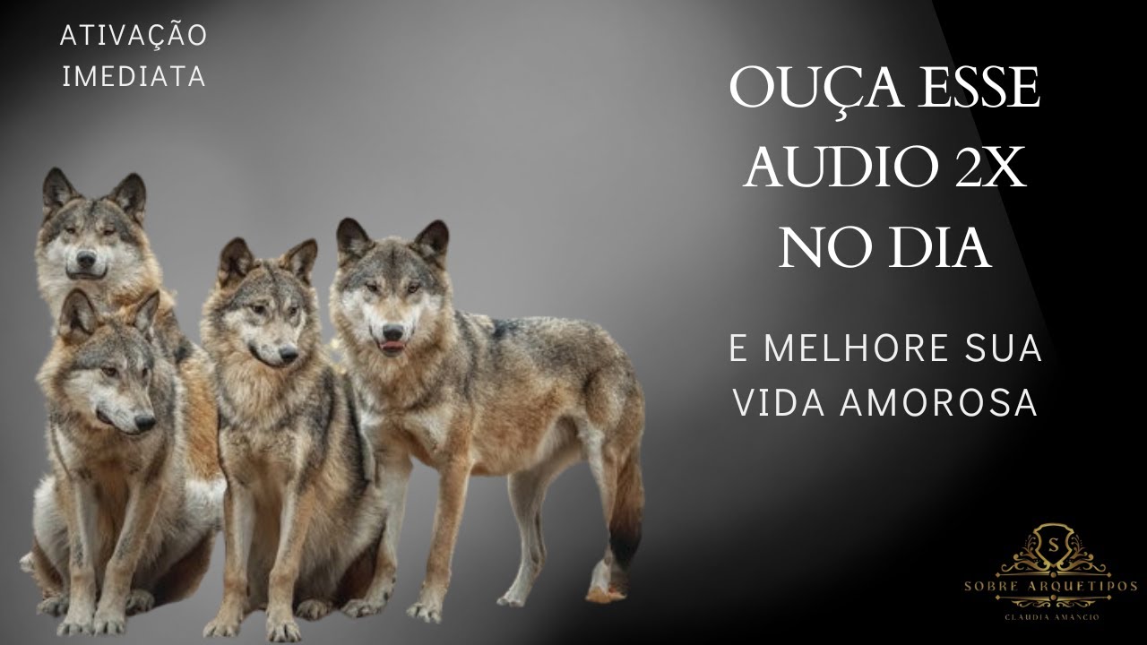 ARQUÉTIPO PARA RELACIONAMENTO CASAL DE LOBOS🐺 ATIVAÇÃO IMEDIATA