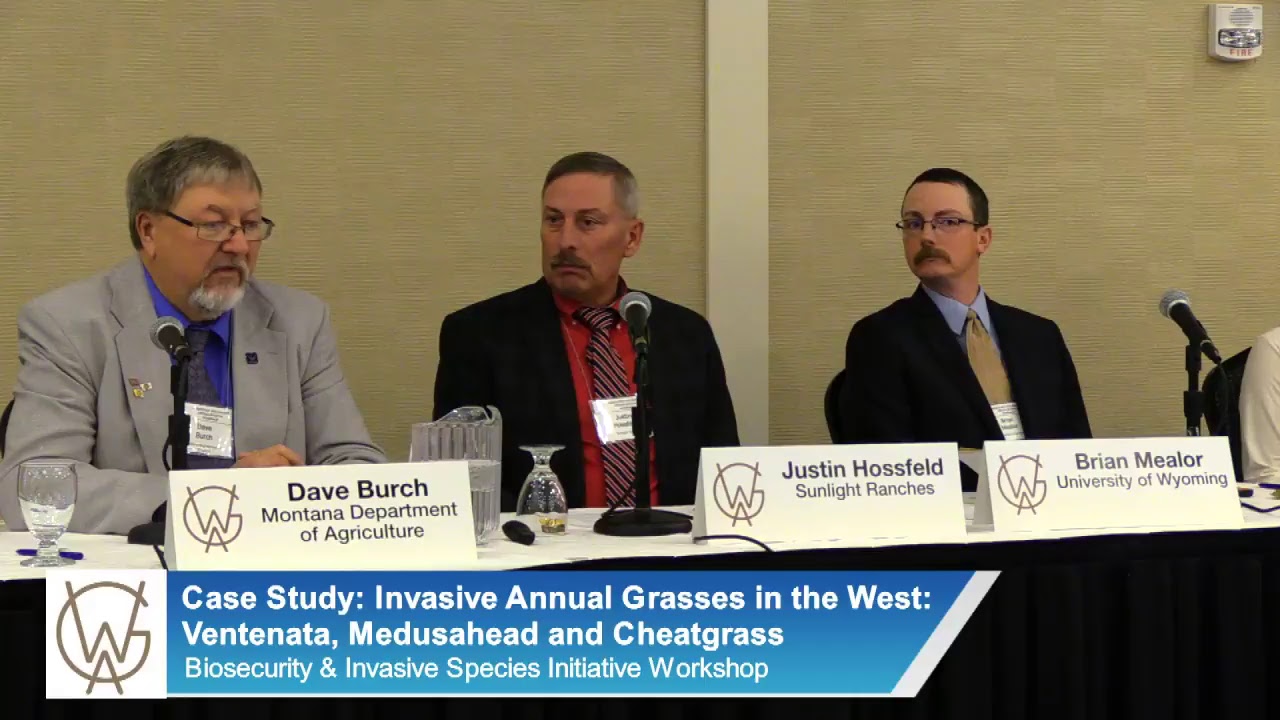 Workshop: Invasive Annual Grasses in the West Case Study