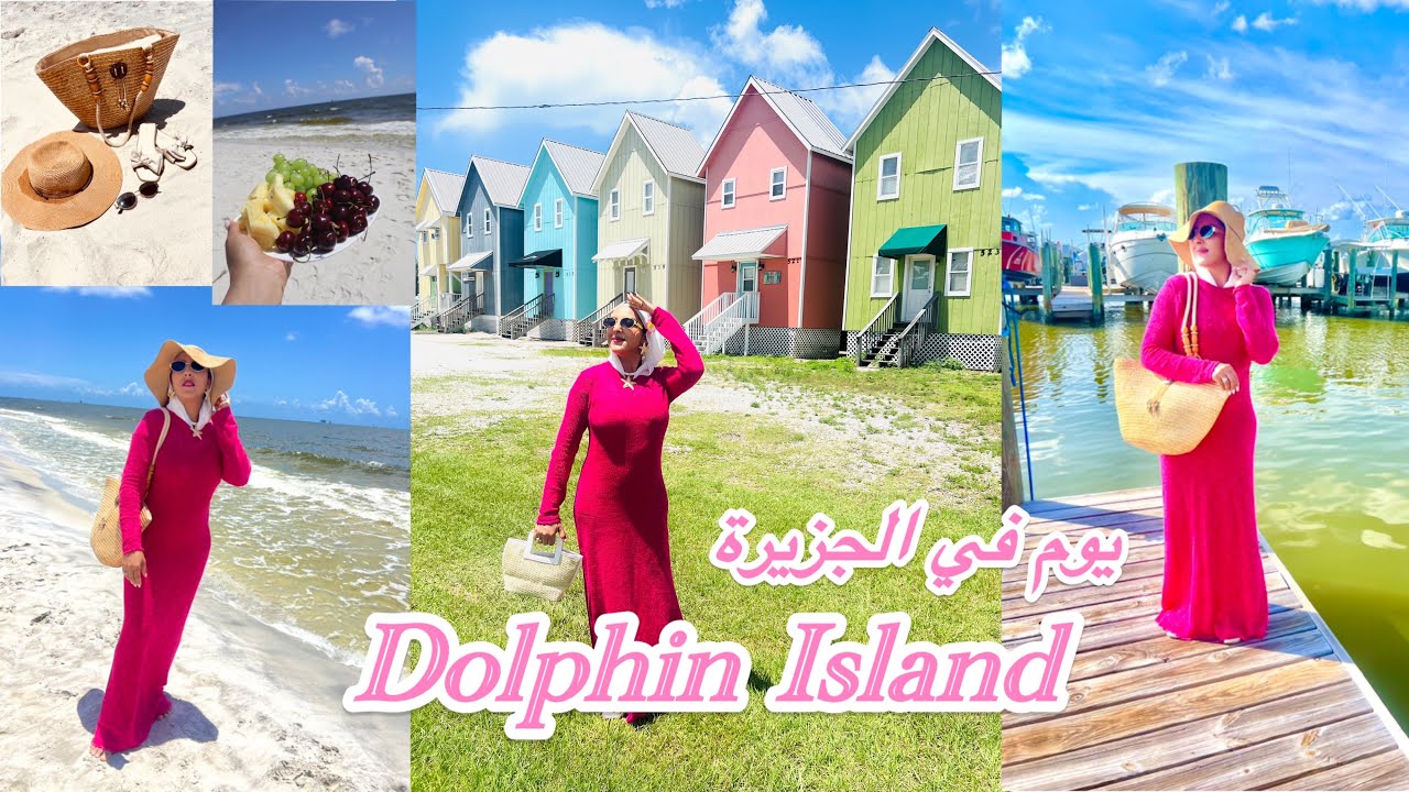 ‏عطلة في الجزيرة 🏝️🏖️⛱️Dolphin Island