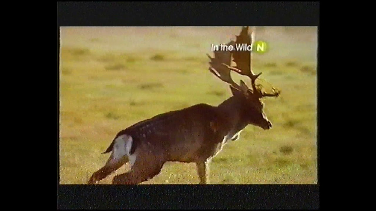 Viasat6 - Reklámblokk - 2012. nyár