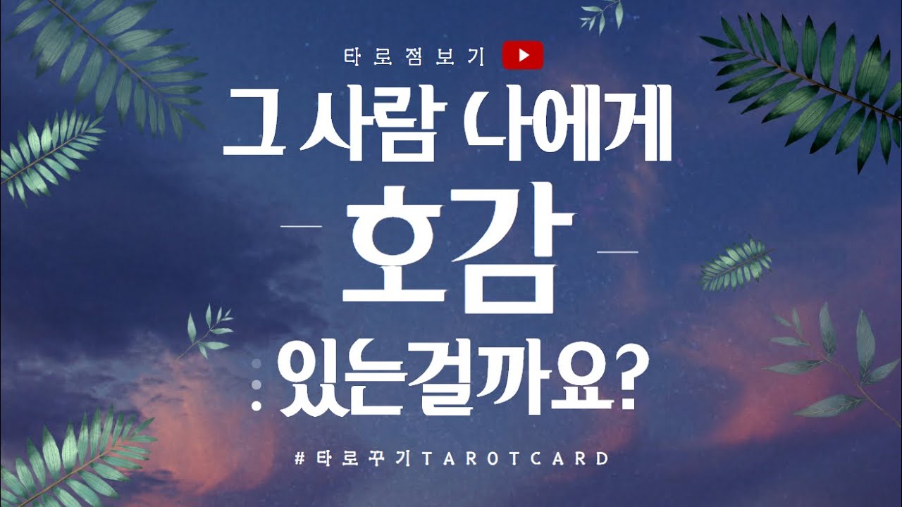 [타로카드] 애정운, 나에게 호감이 있을까요?
