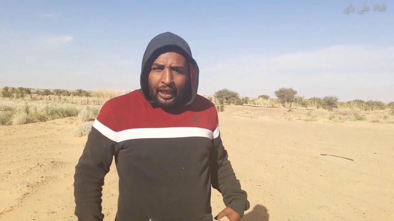طريقة صنع الفحم وتحويل الحطب الى فحم باسهل الطرق مع نصائح للمحافظة على اشجار الغابة في صحراء الجزائر