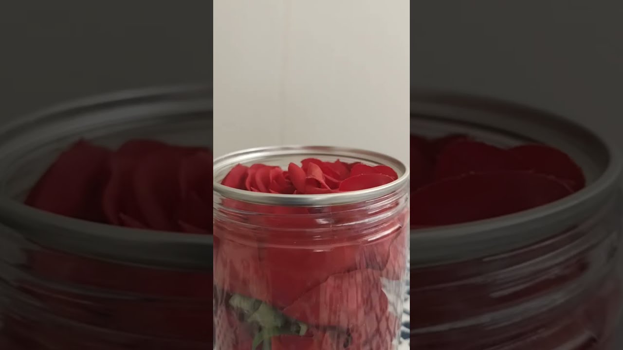 እሙ ሂክማ Tube is live!ገባገባበሉ  ቤተሰብ