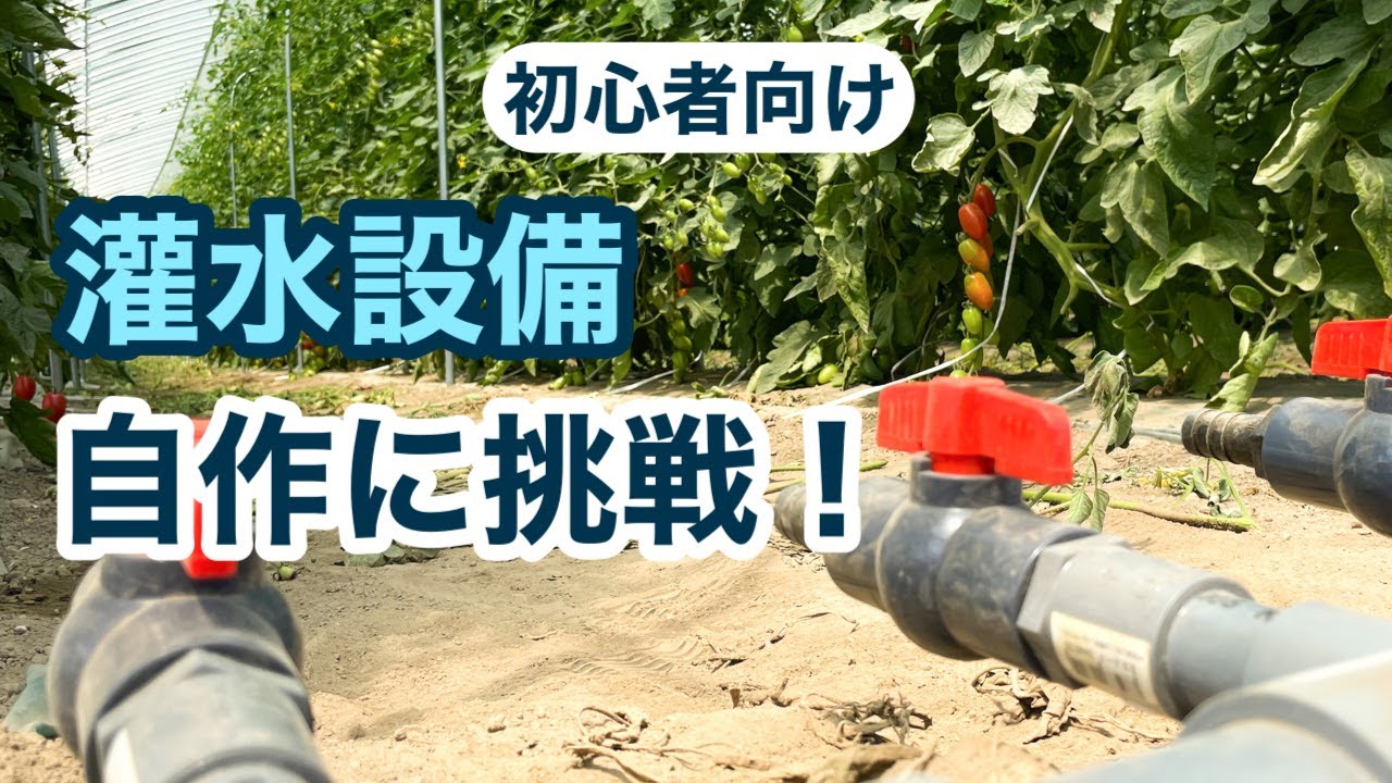 【ビニールハウス栽培】2年目農家でもできる灌水設備の自作紹介