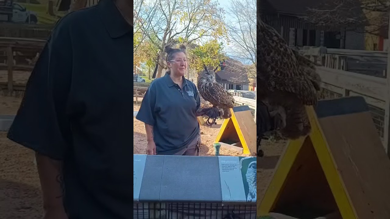 ZOO Syracuse NY 2024